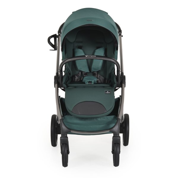 bebeshka-kolichka-3v1-unique-cangaroo-pine-green-4.jpg - 5